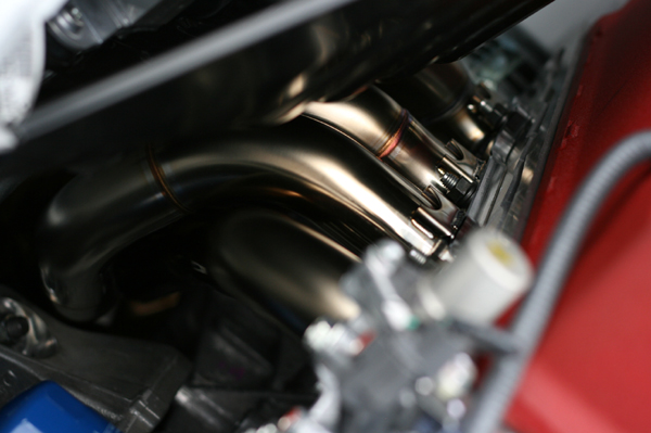 512 hedder1 IMG_7687.jpg